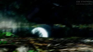 神谕 第四季 7-10badftallbagnallHeath - Page 5