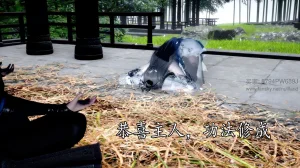 神谕 第四季 7-10badftallbagnallHeath - Page 54