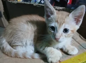 Ababachenchen 2025 twitter Rip - Page 136