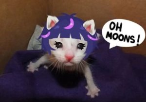 Ababachenchen 2025 twitter Rip - Page 80