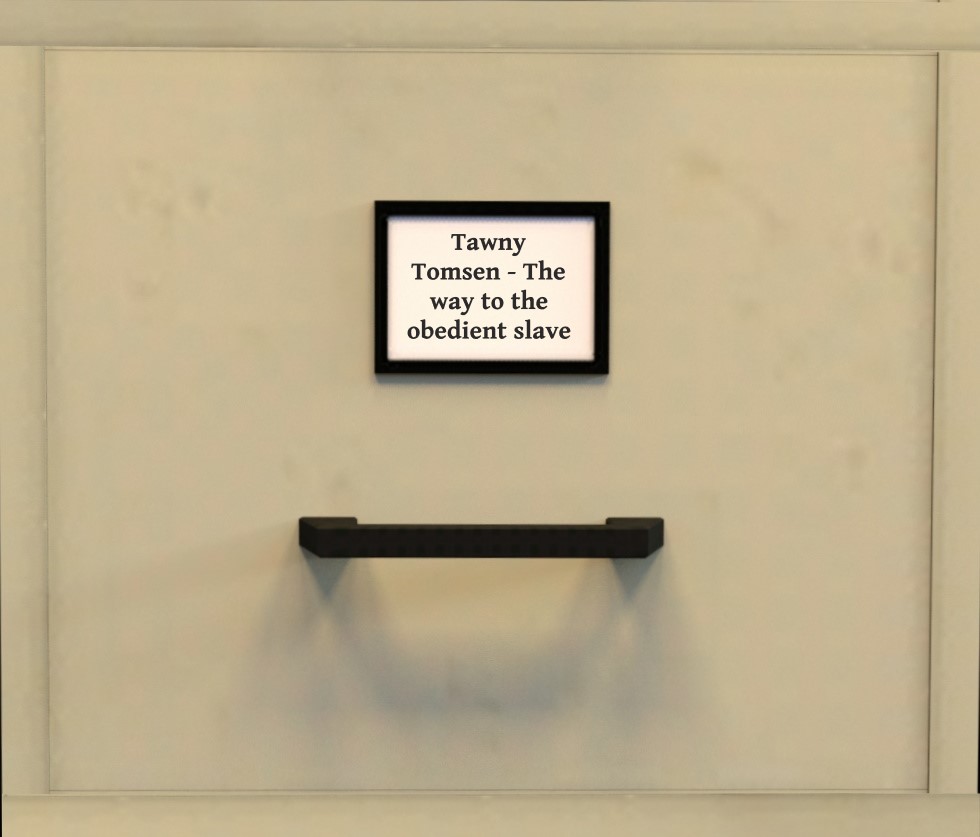 Akahando Tawny Tomsen - The Way To The Obedient Slave - Image 1