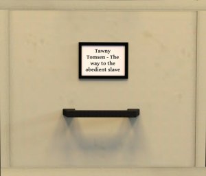 Akahando Tawny Tomsen - The Way To The Obedient Slave Thumbnail