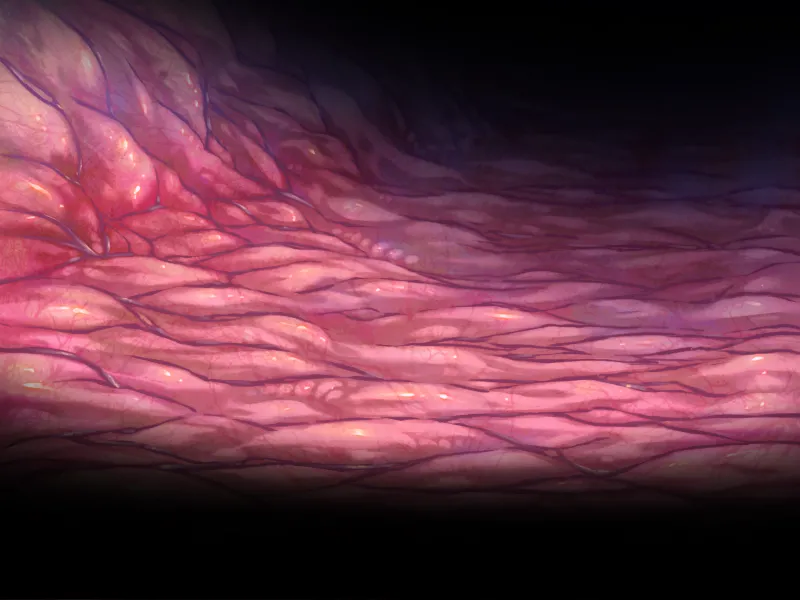 AliceSoft Rance 02 - Image 135