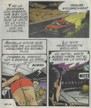 Almas Perversas 595 - Page 15