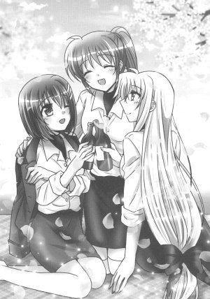 Ameiro Nanashiki O sake to, sakura to, aozora to. Mahou Shoujo Lyrical Nanoha Spanish Nekomi Fansub - Page 15