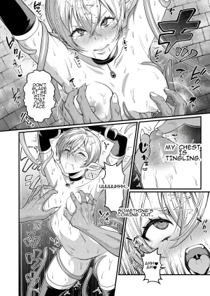 Amulai Okashi Seisakusho Shishamon Akuochi Kishi no Gaisen Triumphant Return of the Evil Knight - Page 14