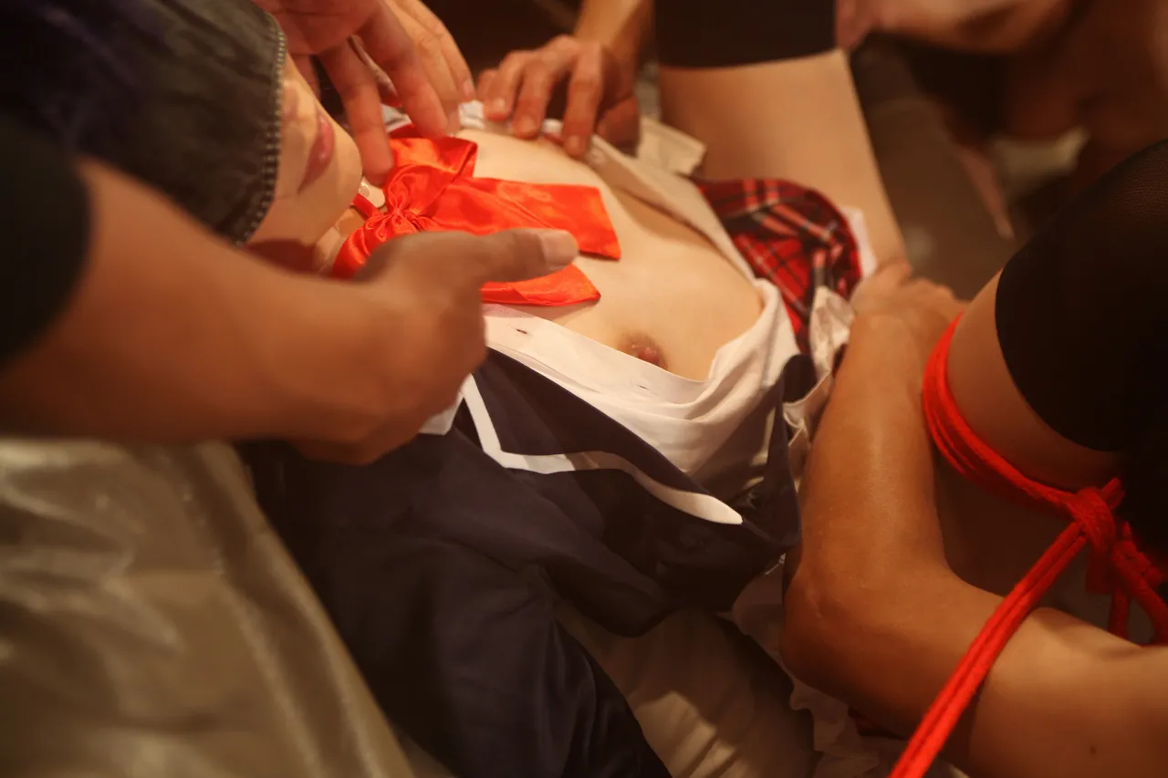 AnicosMAX 40530 anicosMax07 - Image 39