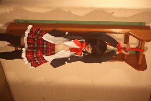 AnicosMAX 40530 anicosMax07 - Page 69