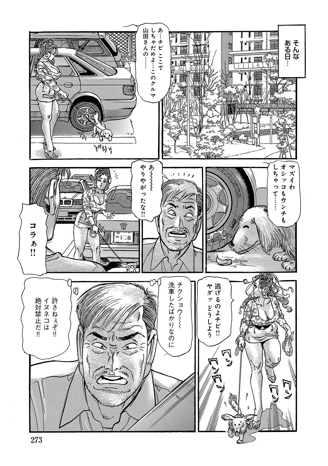 Anthology Shirouto Bijinzuma Anata o Tengoku ni Michibiku Binyuu to Bijiri Digital - Image 272