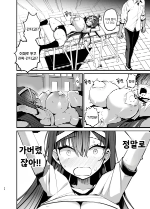 Aohimo Familia Chilt Fuuki Iinchou ga Ochiru made 2 풍기위원장이 타락할 때까지 Korean Digital - Page 29