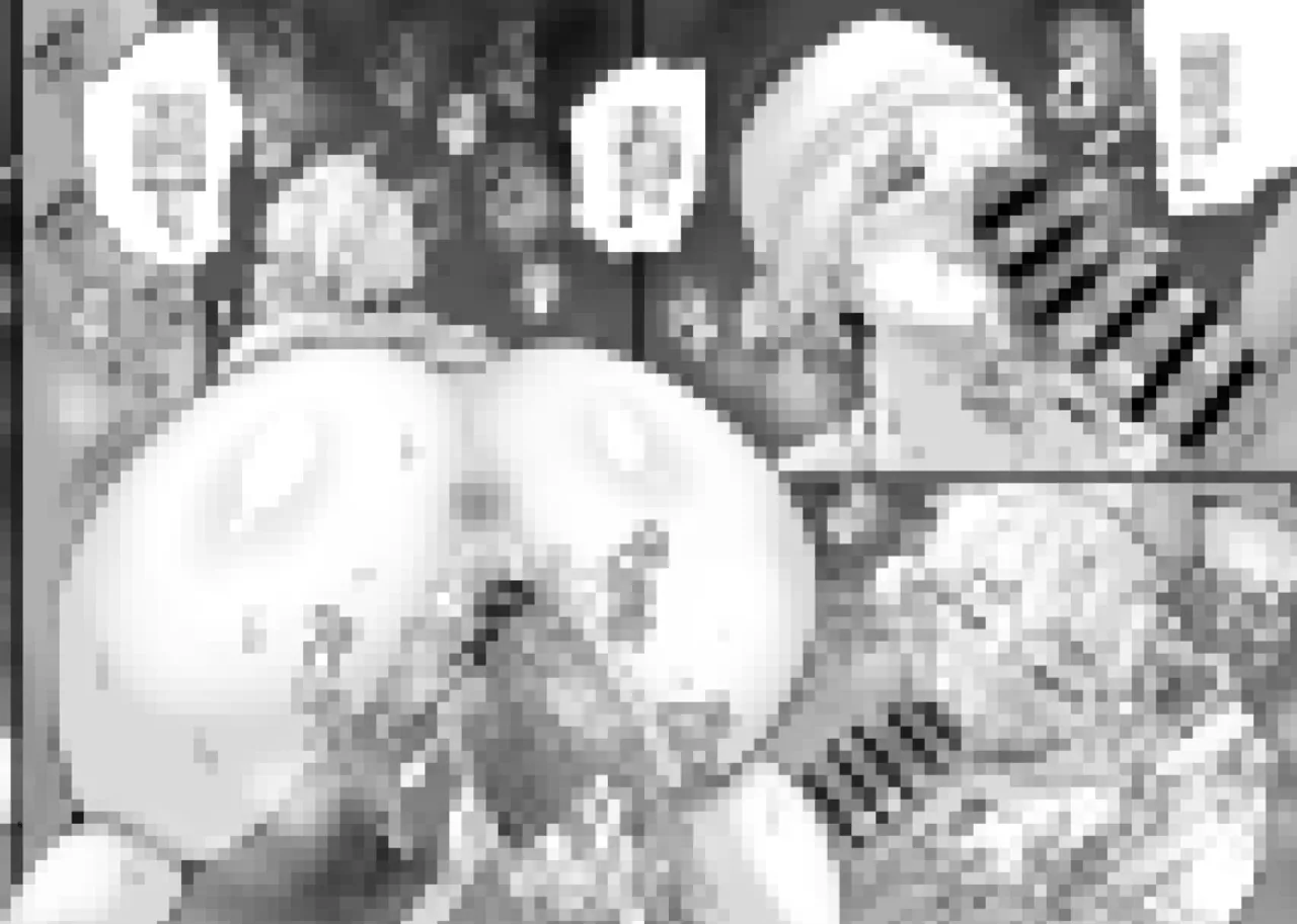 Aonatsusu SEX shite na sa sōna hito ho to eku i SEX shite rusetsu - Image 250