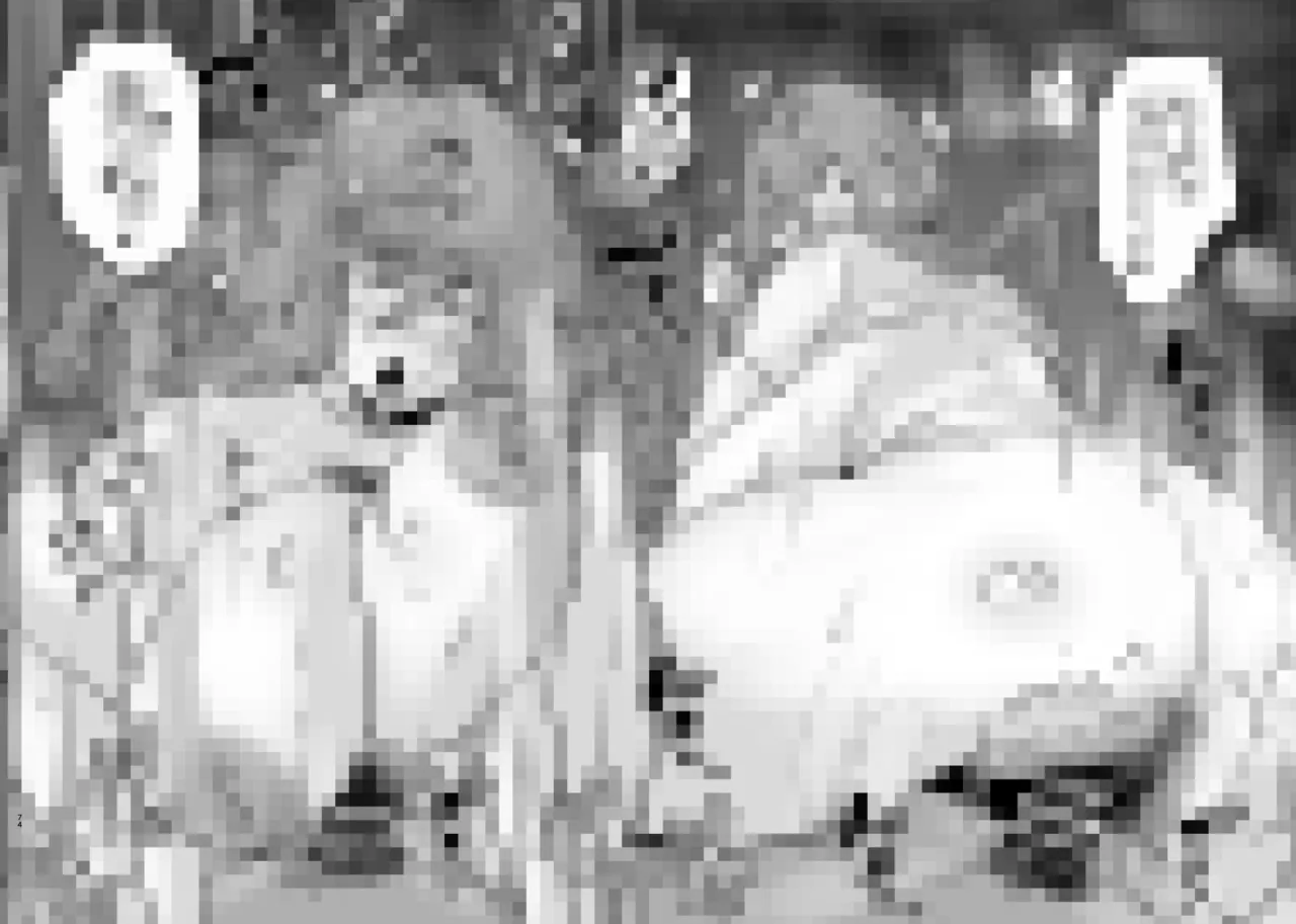 Aonatsusu SEX shite na sa sōna hito ho to eku i SEX shite rusetsu - Image 254