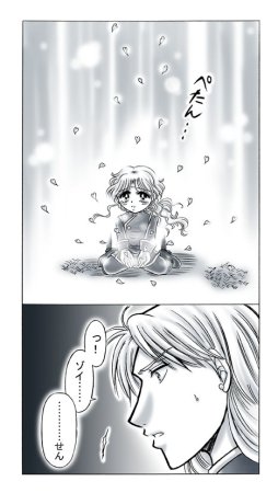 artist桜咲姫 - Page 222