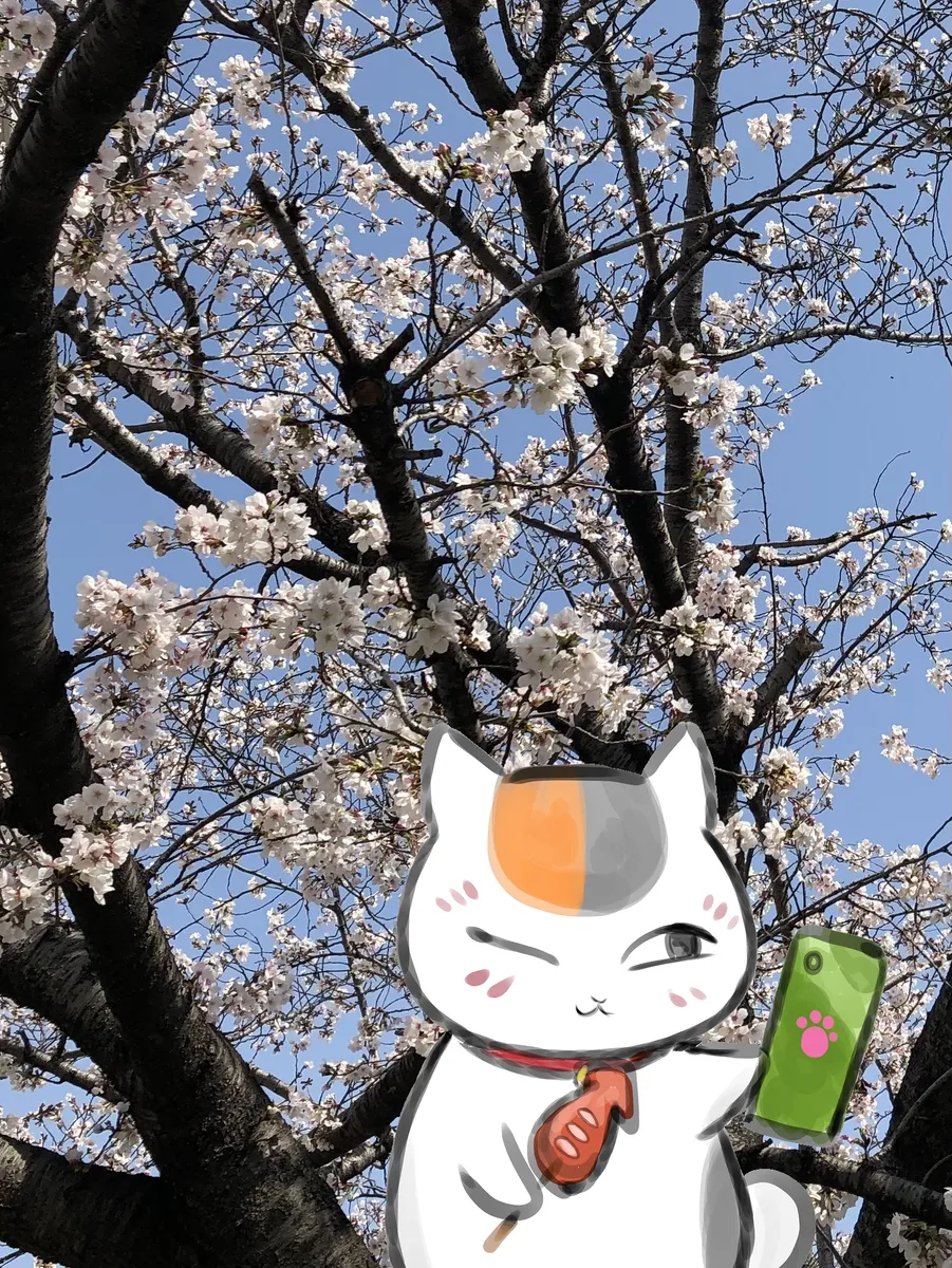 artistうさだお仕事募集中 - Image 331