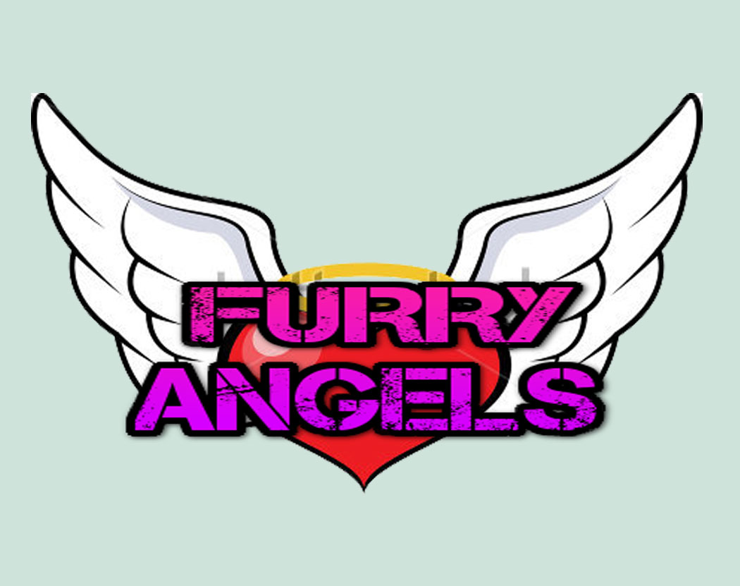 Artist BrandyFriend1 - Image 498