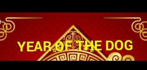 Artist BrandyFriend1 - Page 464