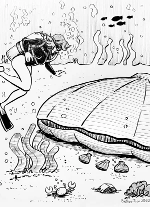 Artist - Brother-Tico - Page 500