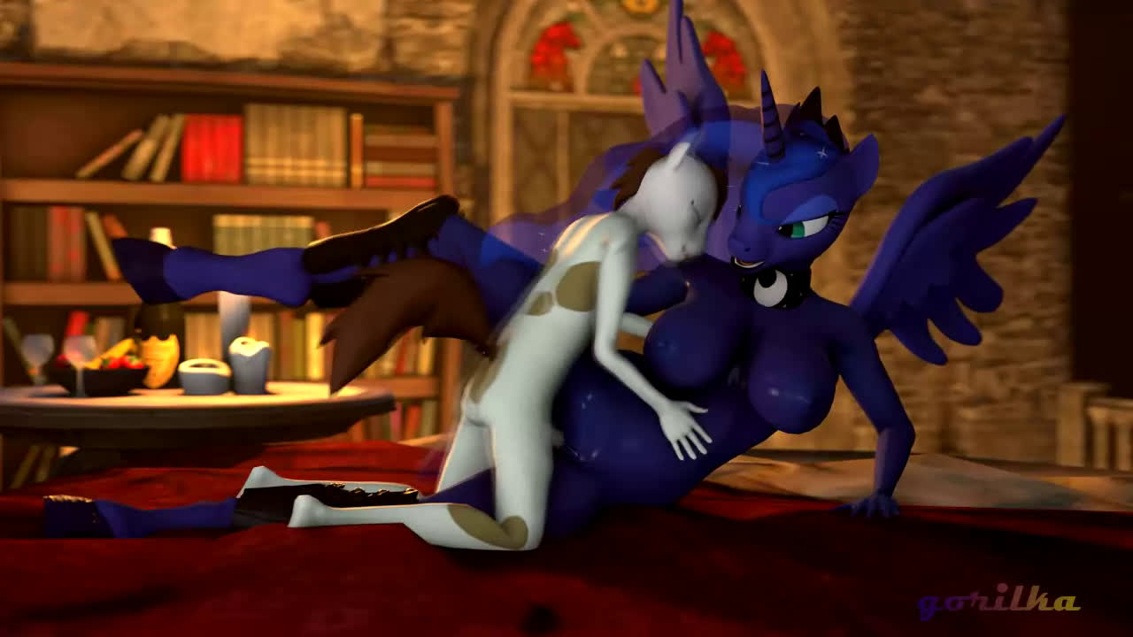 Artist - Gorilka - Image 47