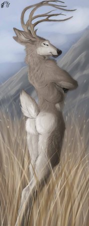 Artist lizet - Page 15