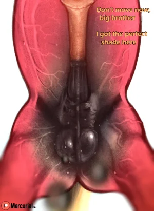 Artist - mercurial64 - Page 502