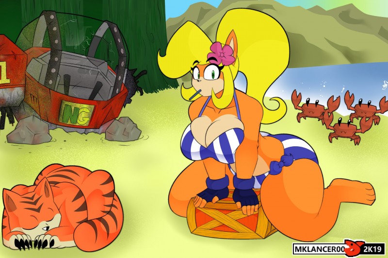 Artist - mklancer00 - Image 463