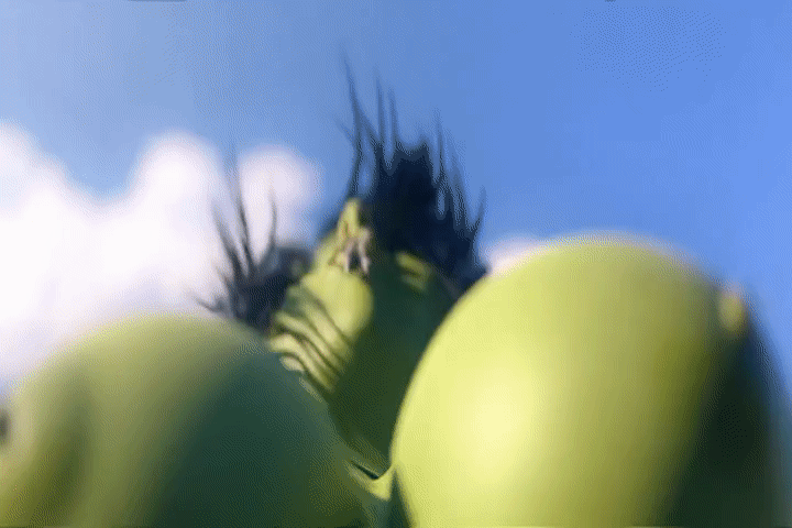 ARTIST scrag boy - scraggy - Image 301