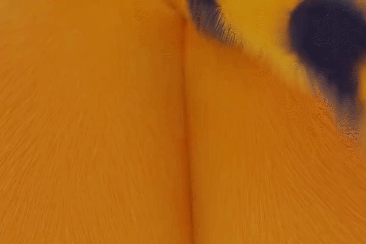 ARTIST scrag boy - scraggy - Image 360