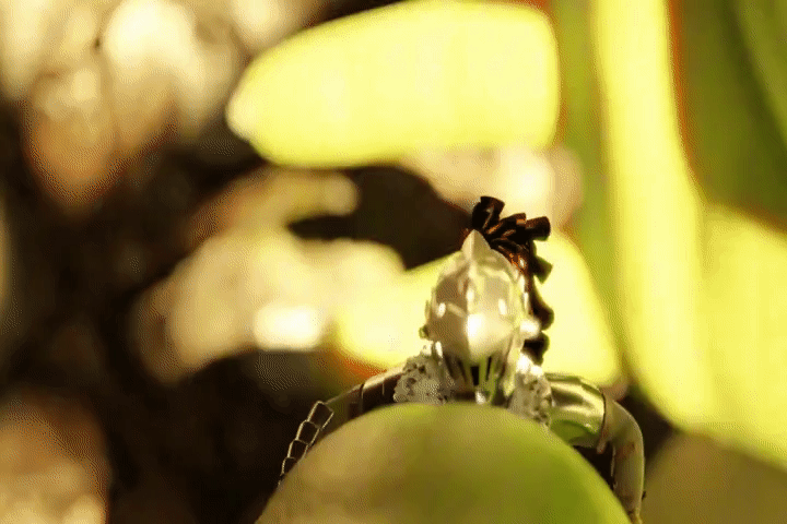 ARTIST scrag boy - scraggy - Image 462