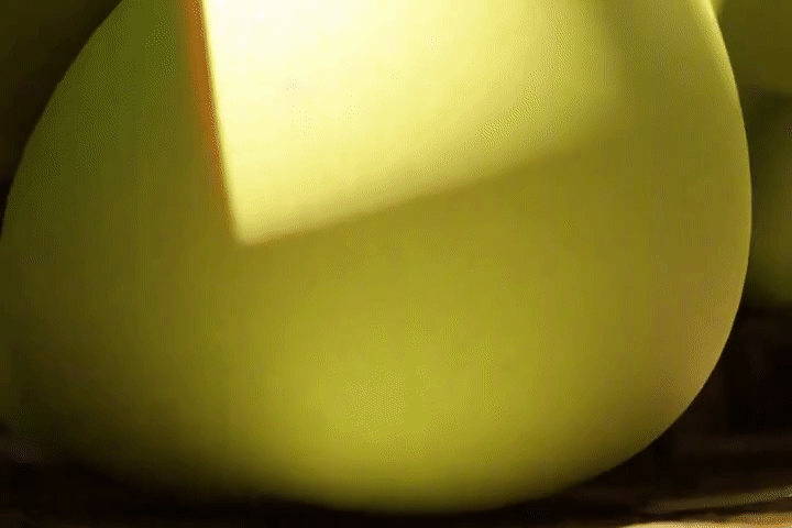 ARTIST scrag boy - scraggy - Image 464