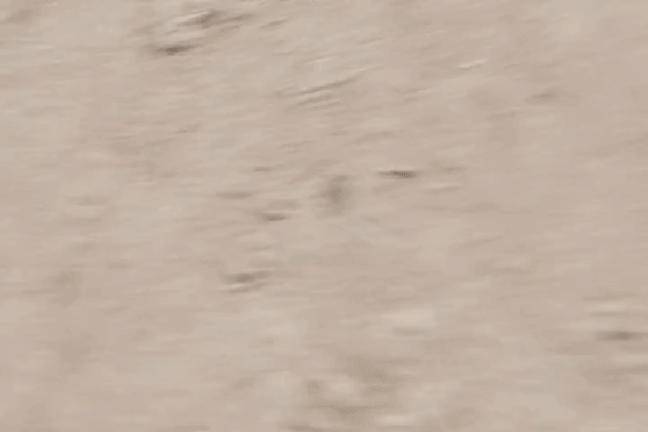 ARTIST scrag boy - scraggy - Image 645