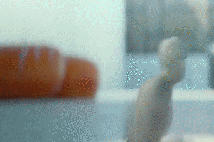 ARTIST scrag boy - scraggy - Image 95