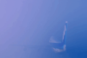 ARTIST scrag boy - scraggy - Page 216