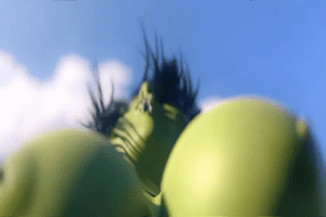 ARTIST scrag boy - scraggy - Page 301