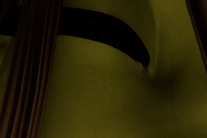 ARTIST scrag boy - scraggy - Page 456