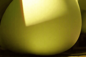 ARTIST scrag boy - scraggy - Page 464