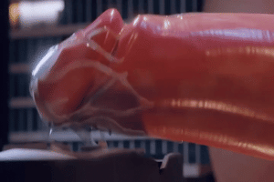 ARTIST scrag boy - scraggy - Page 557