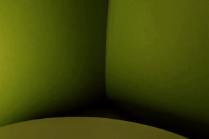 ARTIST scrag boy - scraggy - Page 563