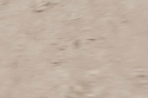 ARTIST scrag boy - scraggy - Page 645