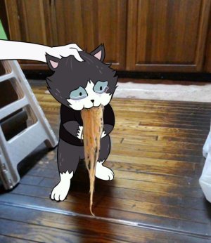 Artist - TANA - Page 570