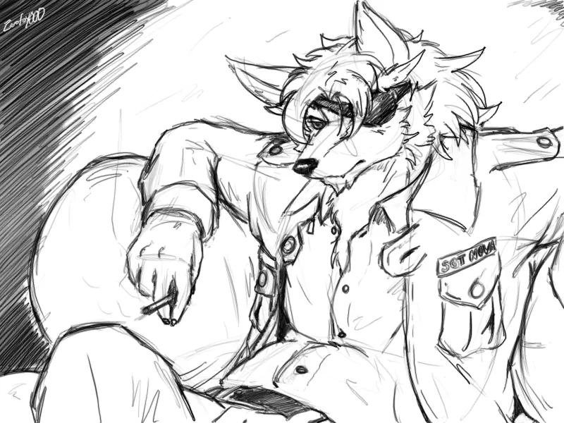 Artist Zerofox1000 - Image 13