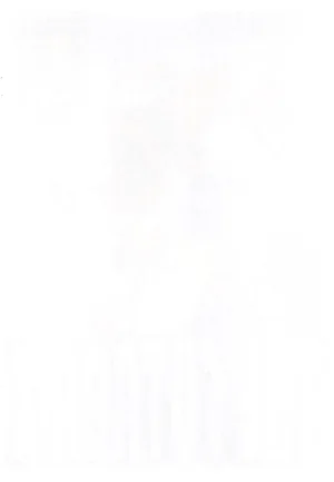 ASTRAS Astra THE FUTABA-X - Page 2