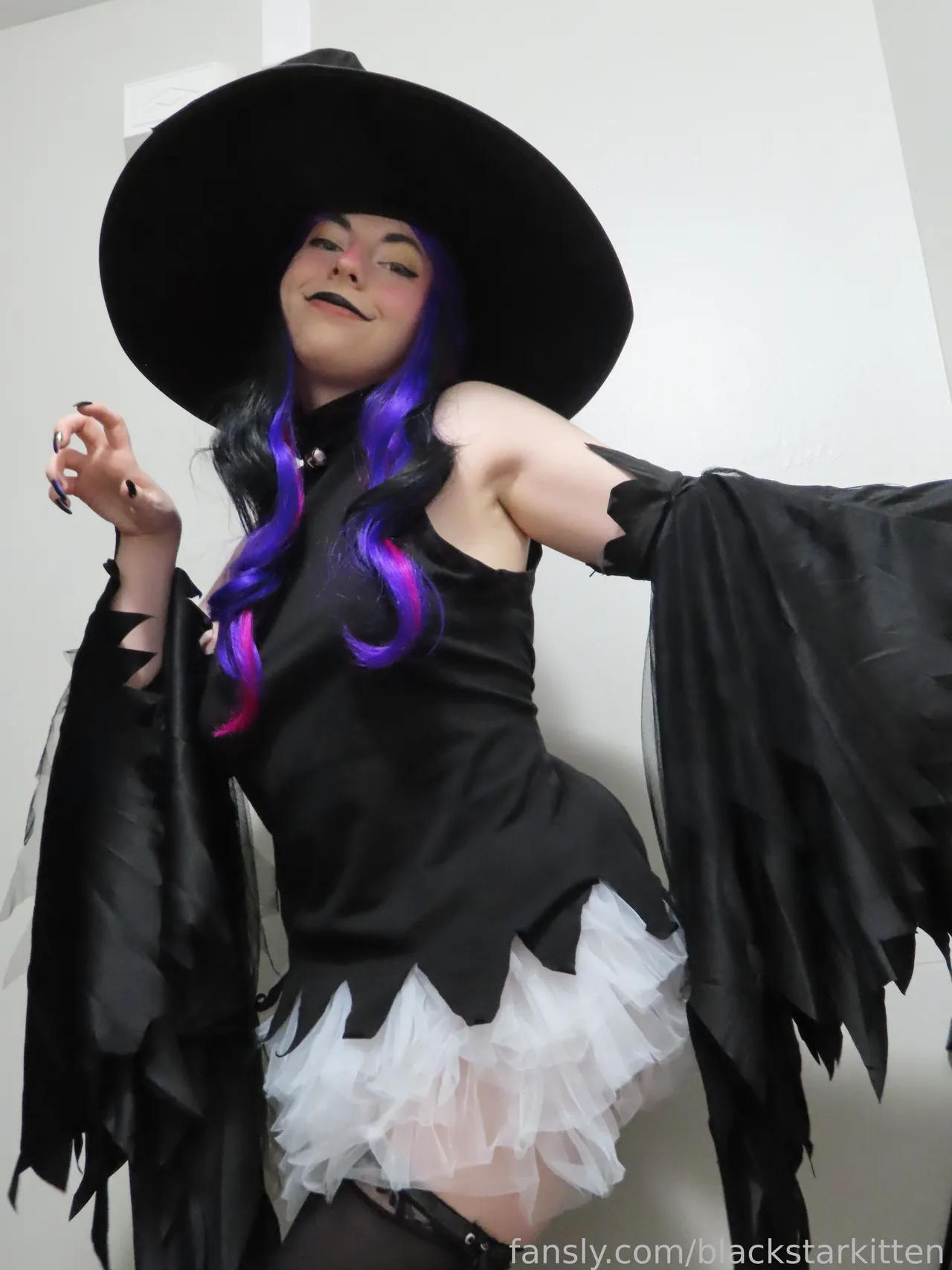 Black Star Kitten - Blair - Image 1