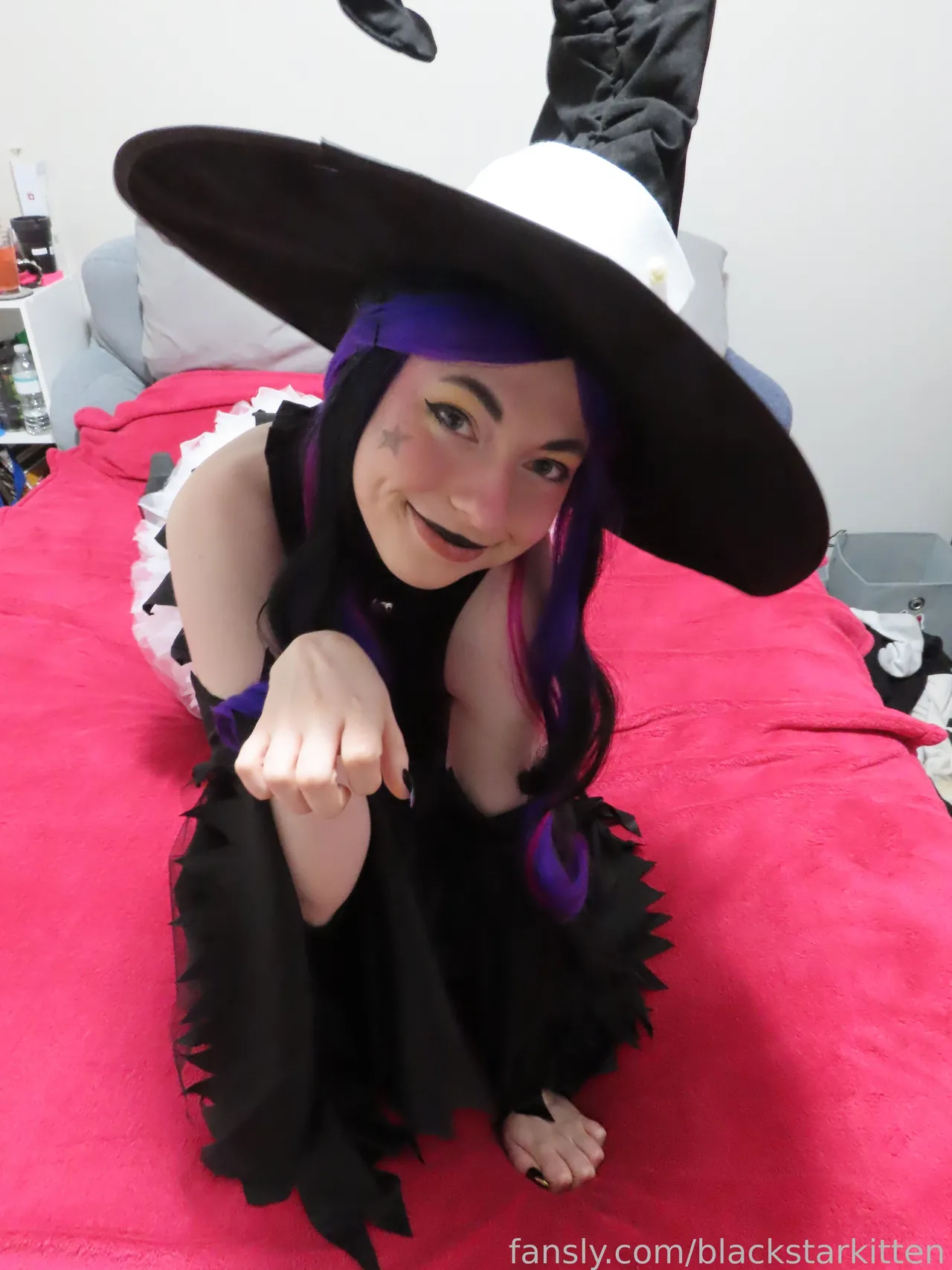 Black Star Kitten - Blair - Image 11