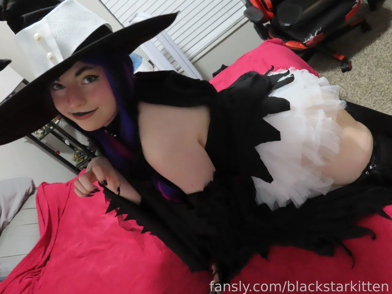 Black Star Kitten - Blair - Image 12