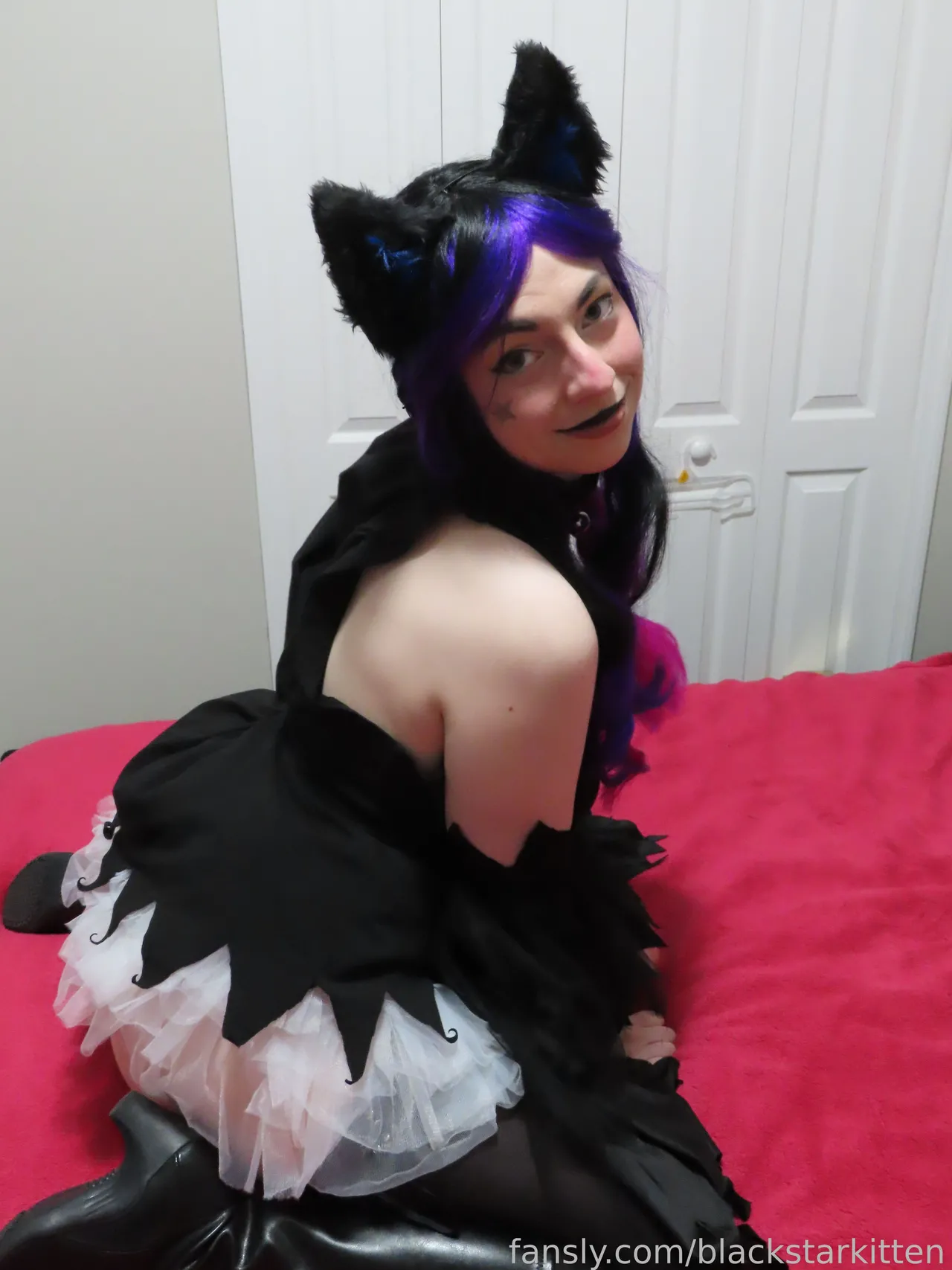 Black Star Kitten - Blair - Image 14