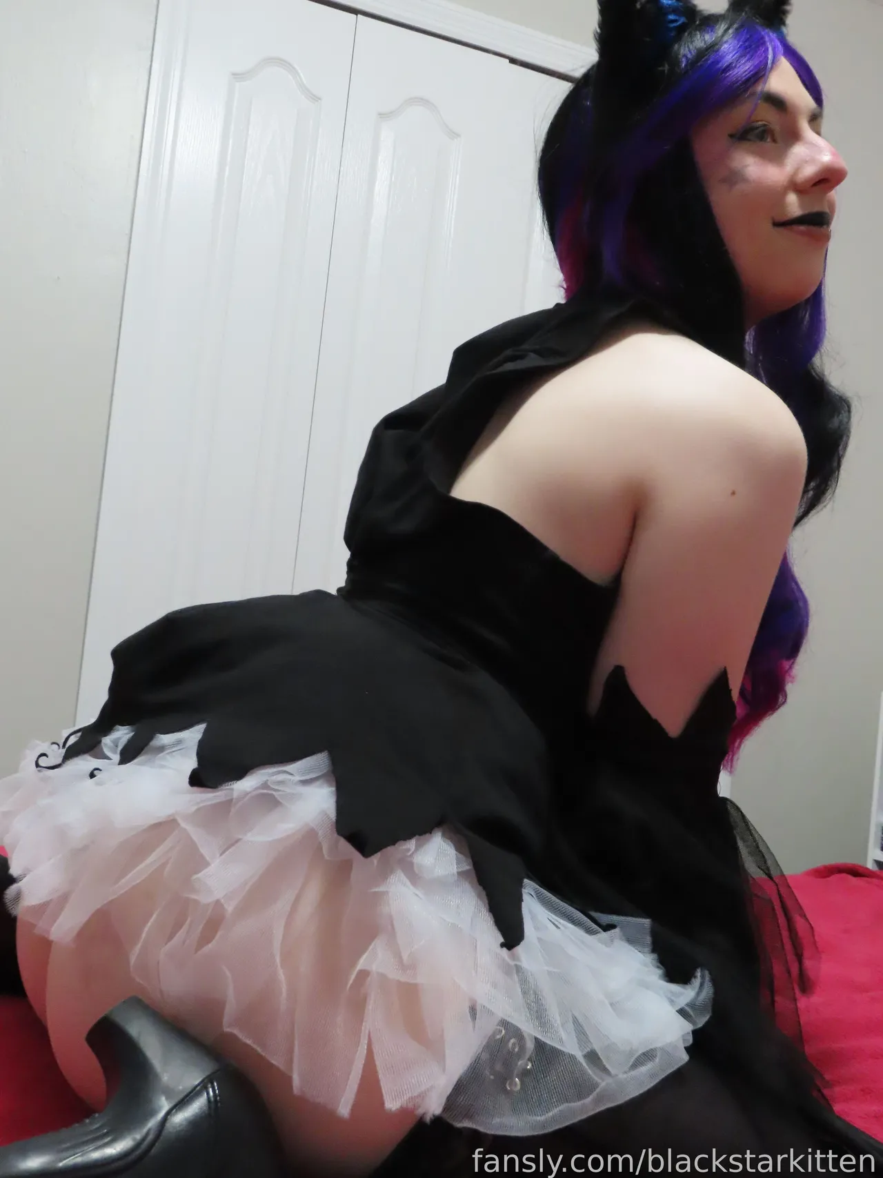 Black Star Kitten - Blair - Image 16