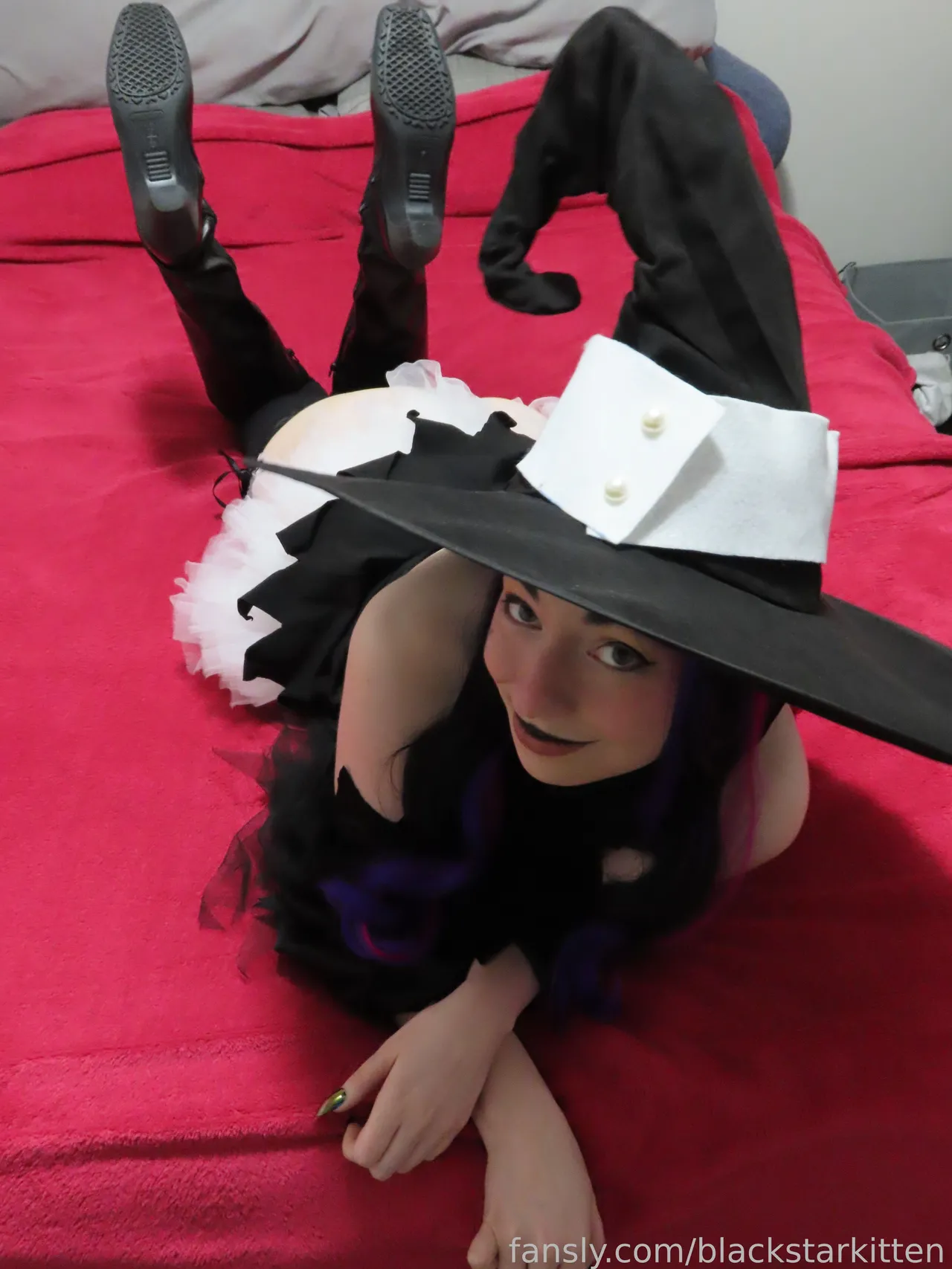 Black Star Kitten - Blair - Image 18