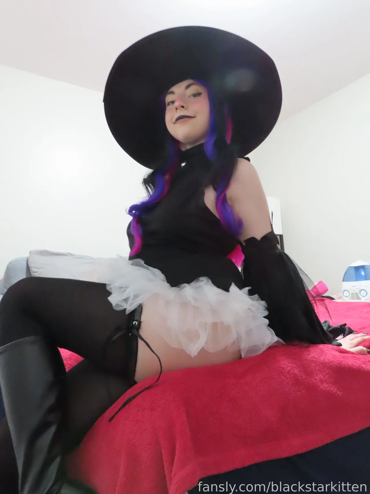 Black Star Kitten - Blair - Image 3