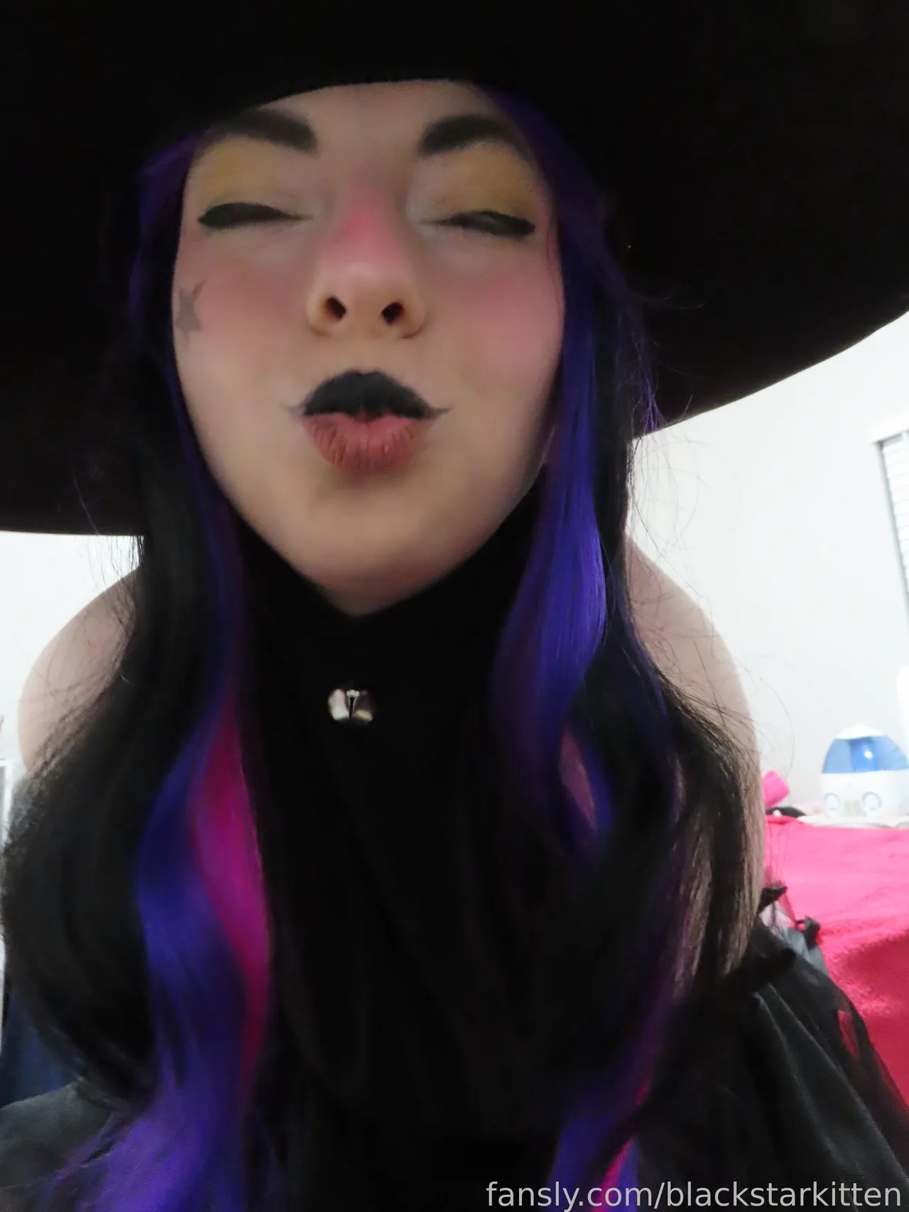 Black Star Kitten - Blair - Image 4