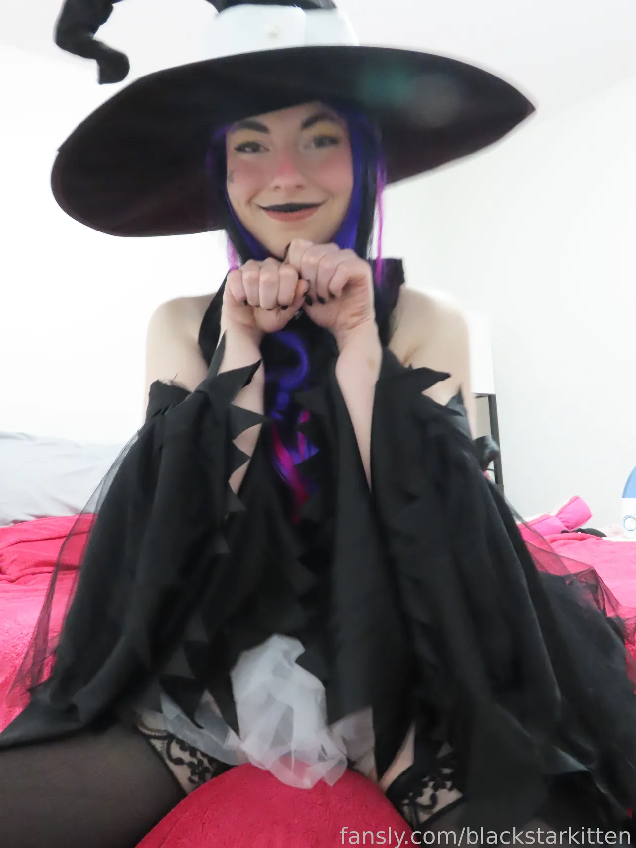 Black Star Kitten - Blair - Image 5